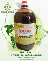 厂家直供发酵专用菌